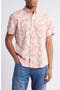  Ginger Floral