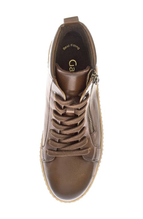 Gabor High Top Sneaker In Brown