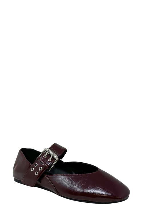 Shushop Buckle Flat In Burgundy