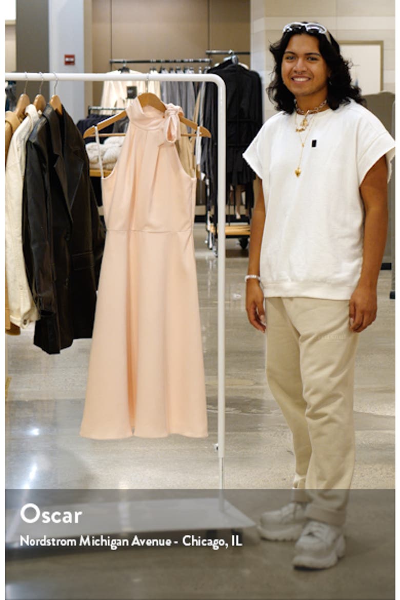 Audrey Sleeveless Tie Neck Dress video