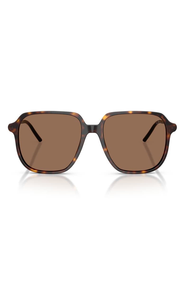 Moncler 54mm Pilot Sunglasses, Main, color, Shiny Havana / Brown Solid