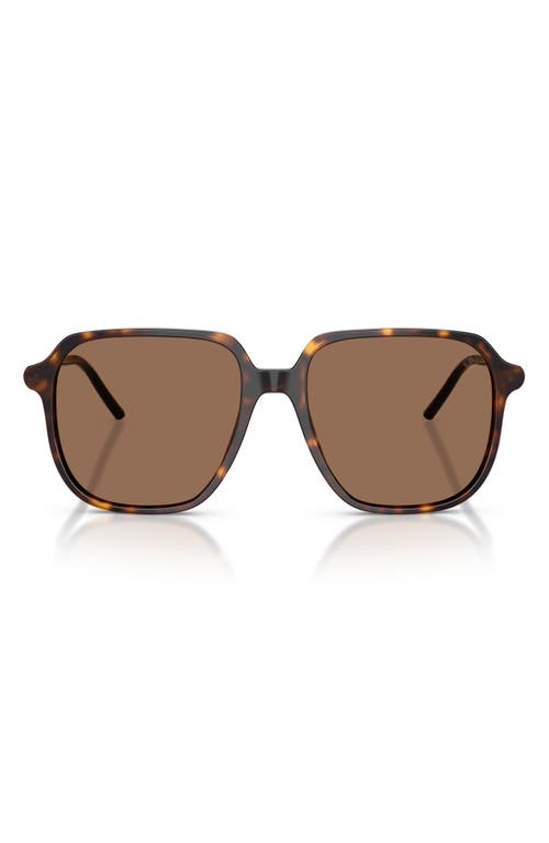 Moncler 54mm Pilot Sunglasses in Shiny Havana /Brown Solid 
