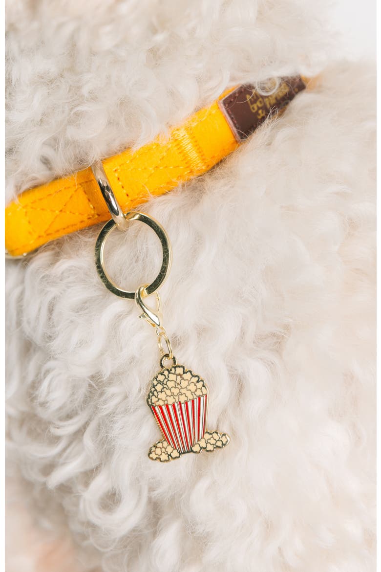 Popcorn Pet Collar Charm, Alternate, color, Popcorn