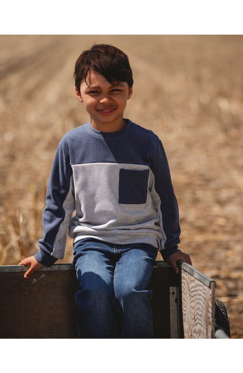 Deux par Deux Long Sleeve Super Soft Brushed Jersey Top Color Block, Alternate, color, Light Heather Gray