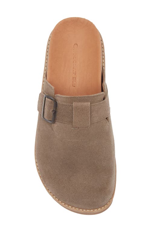 Chocolat Blu Yuko Clog In Brown