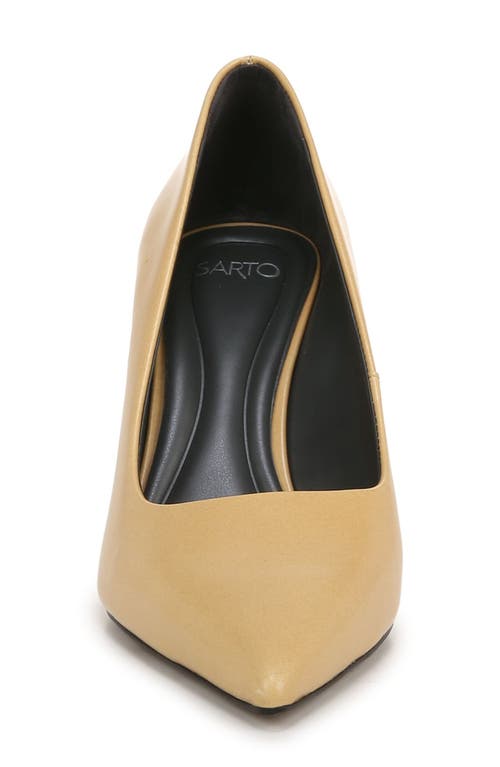 SARTO BY FRANCO SARTO SARTO BY FRANCO SARTO SAGE POINTED TOE PUMP 