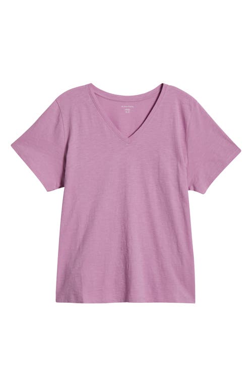Eileen Fisher Easy V-neck Organic Cotton T-shirt