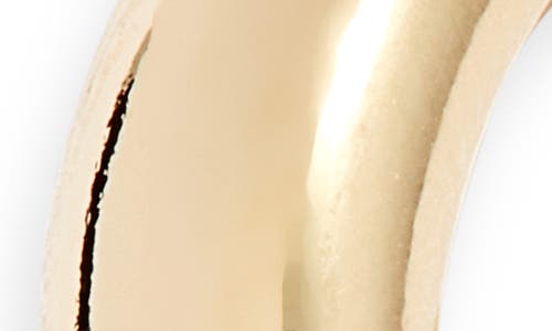 Child Of Wild Cleo Hoop Earrings In Gold