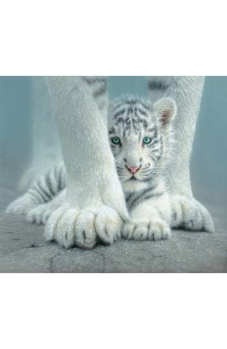 Sunsout Sheltered 550 piece Jigsaw Puzzle for Adults, Alternate, color, Multicolor