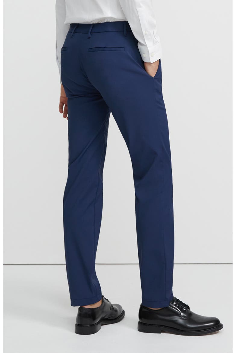 Zaine Neoteric Straight Leg Pants, Alternate, color, VICTORY