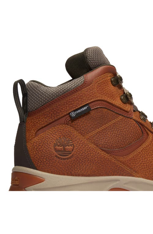 Timberland Mt. Maddsen Waterproof Hiking Boot In Light Brown