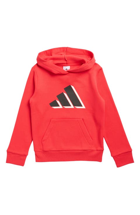 Kids' Logo Graphic Hoodie (Big Kid)