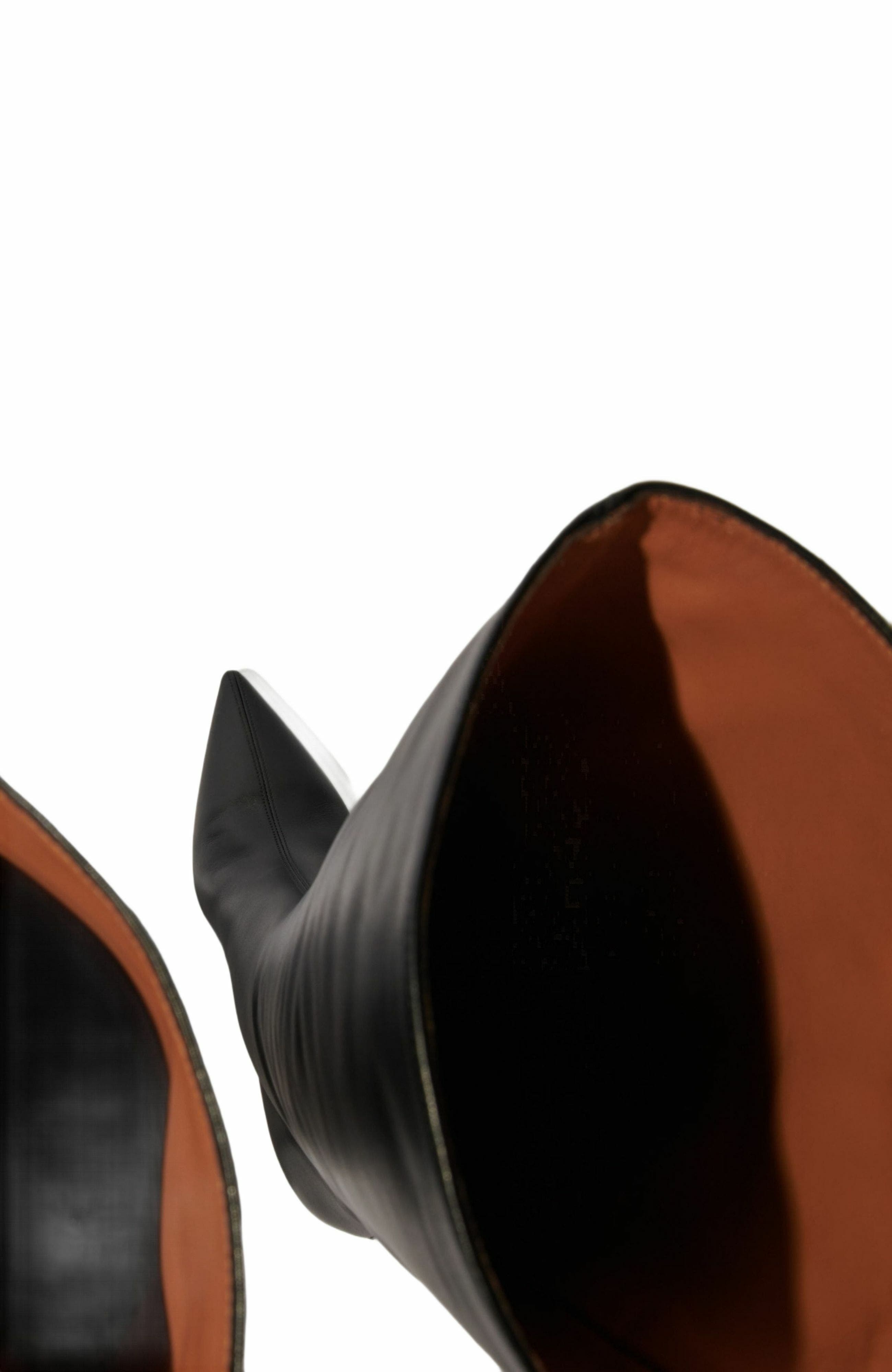 maje Pointed-toe leather boots, Alternate, color, Black