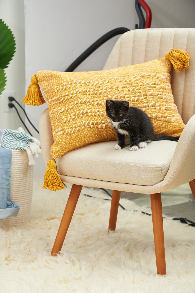 Hodges Woven Throw Pillow with Tassels, Alternate, color, Yellow