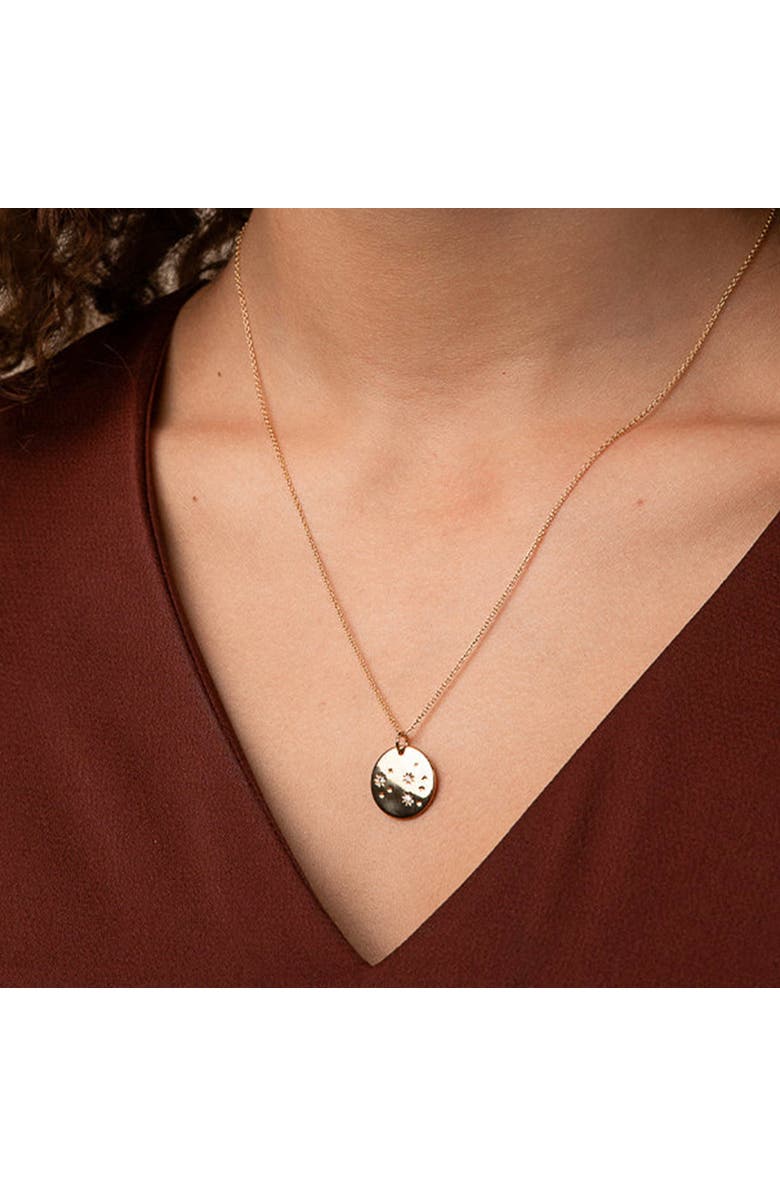 Bearfruit Jewelry 14k Gold Plated Star Constellation Necklace 12 Zodiac Signs Holiday Gift Guide, Alternate, color, Gold