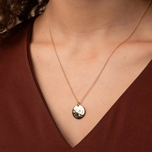 Bearfruit Jewelry 14k Gold Plated Star Constellation Necklace 12 Zodiac Signs Holiday Gift Guide