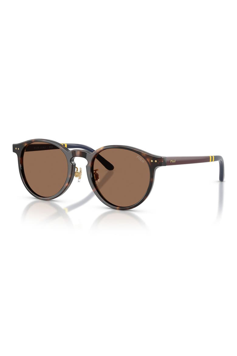 50mm Round Sunglasses, Alternate, color, SHINY DARK HAVANA / BROWN