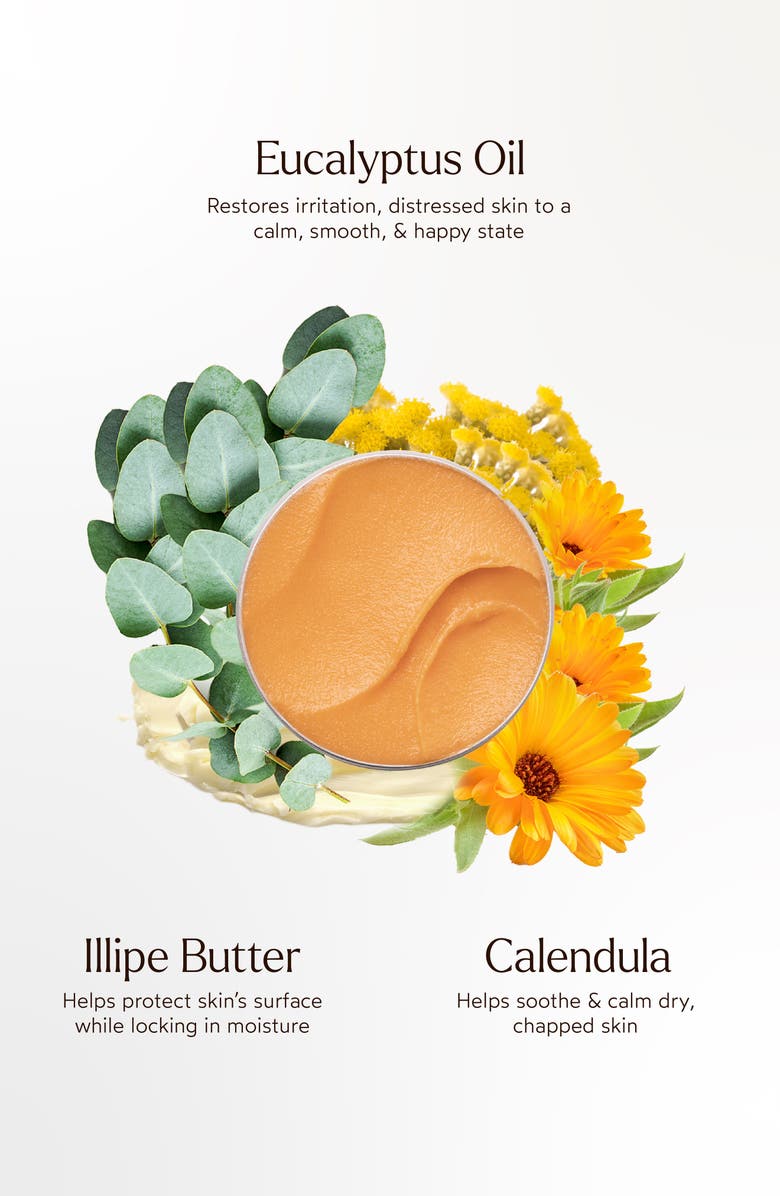 True Botanicals Everything Rescue Balm, Alternate, color, 