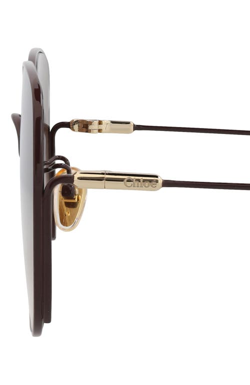 Chloé 61mm Square Sunglasses In Brown