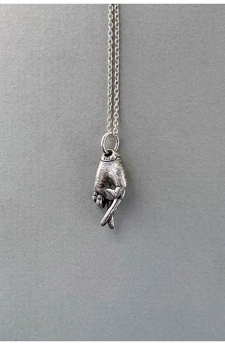 Astor & Orion Good Luck Charm Necklace, Alternate, color, Silver