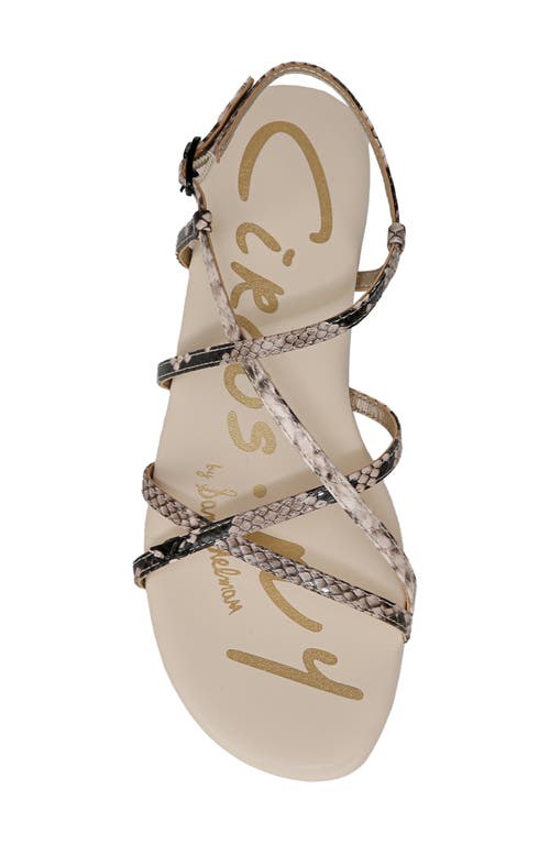 Circus Ny By Sam Edelman Rebecca Strappy Flat Sandals In Mocha Multi