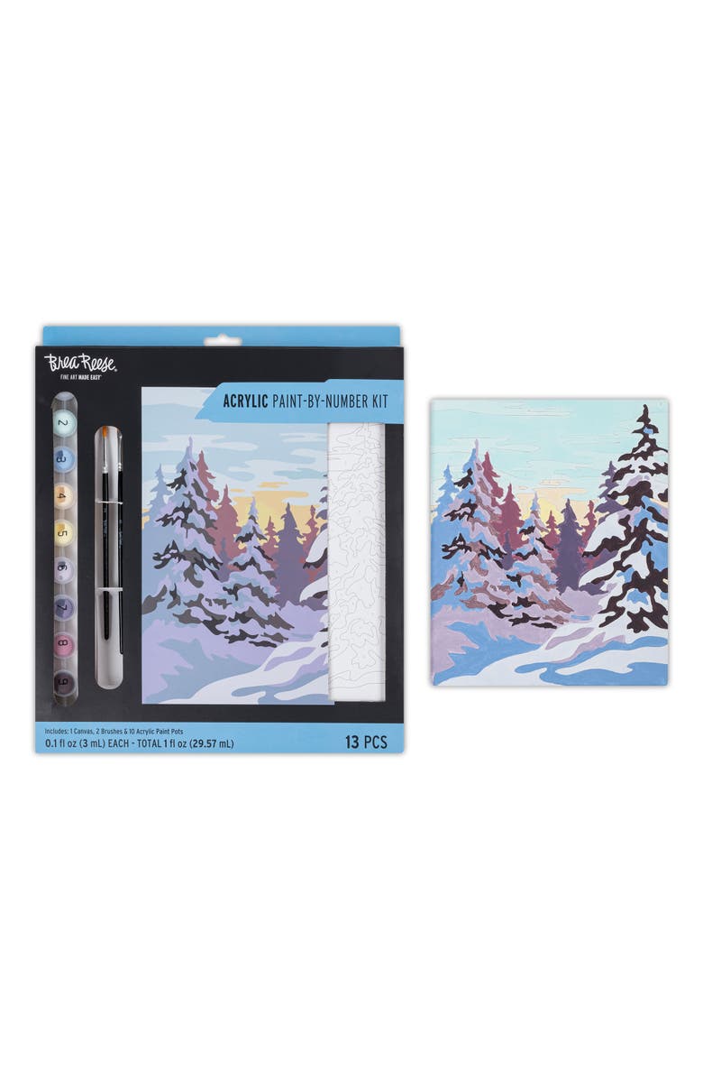 Brea Reese Acrylic Paintbynumber Kit Winter Wonderland, Alternate, color, Multicolored