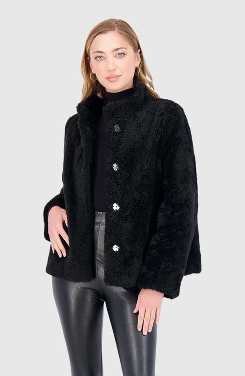 Gorski Cashmere Goat Shearling Jacket In Black