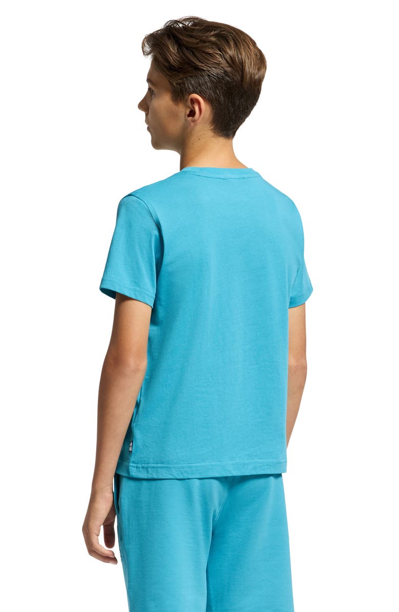 Psycho Bunny Kids' Dillon Cotton Graphic T-Shirt, Alternate, color, Navagio Bay