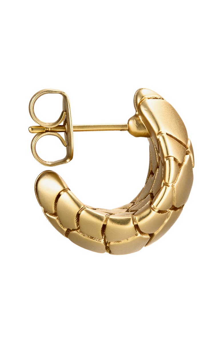 Zimmermann Byron Hoop Earrings, Alternate, color, Gold