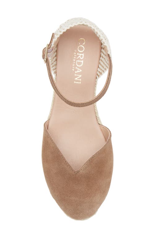 Cordani Elliana Ankle Strap Platform Wedge Espadrille In Fango Suede