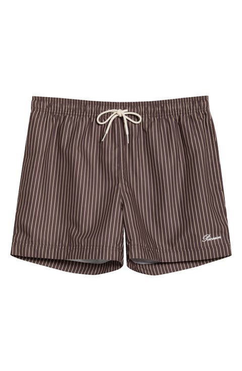 Bailey Pinstripe Swim Trunks