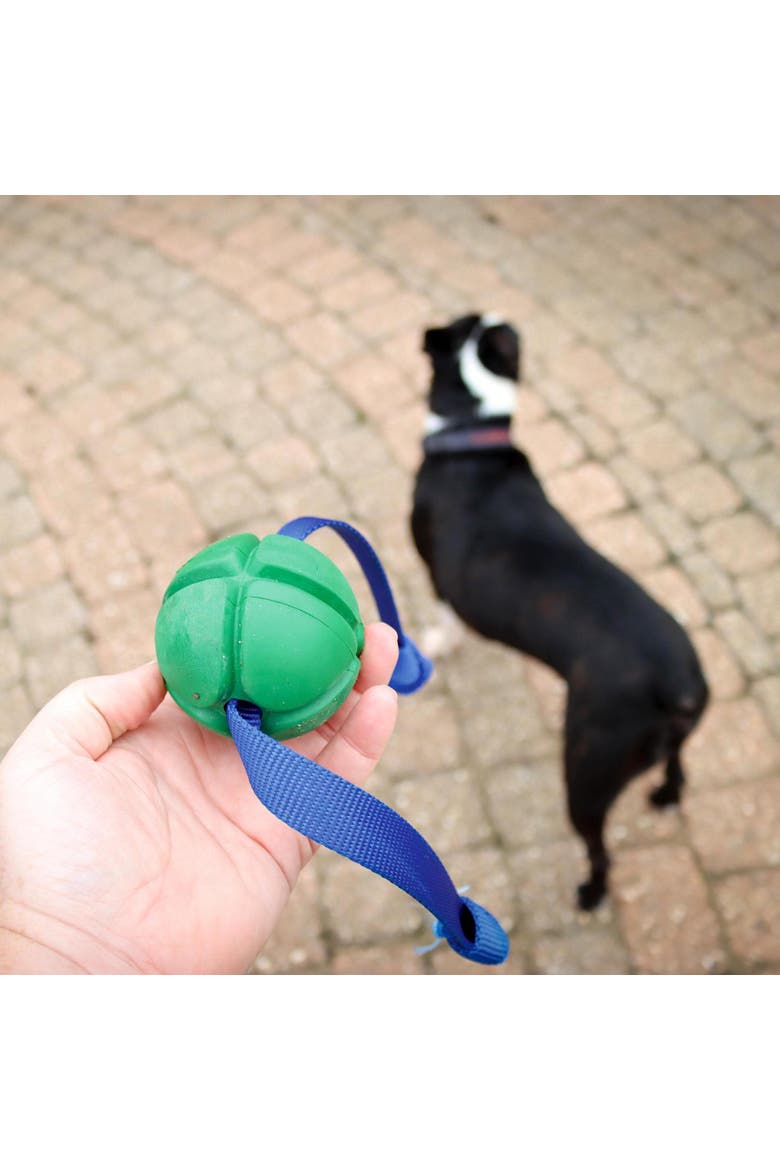 FloTex Tug, Medium, 2.5 Inch, Green, Rubber Dog Toy, Alternate, color, Green
