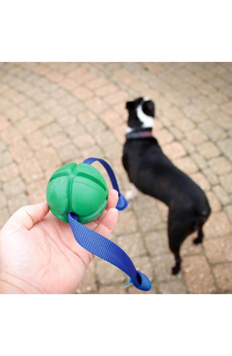 PetKORE FloTex Tug, Medium, 2.5 Inch, Green, Rubber Dog Toy, Alternate, color, Green