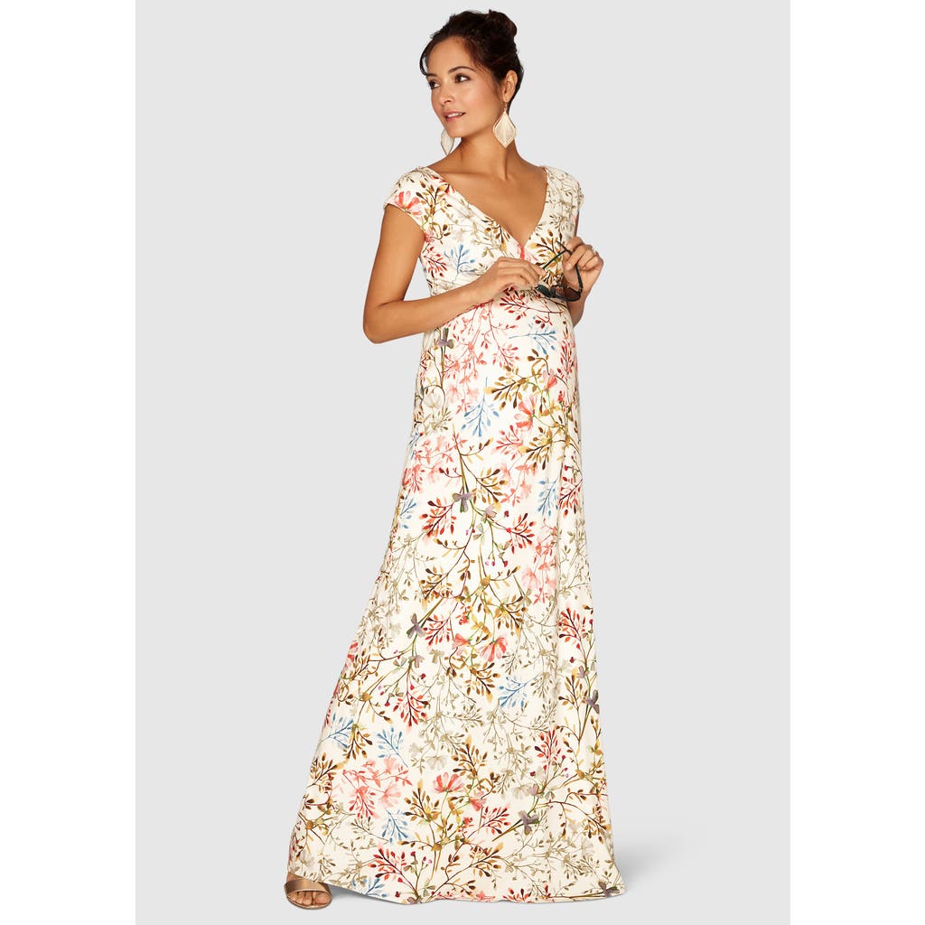 Tiffany Rose Maternity Alana Maternity Maxi Dress in Watercolour Meadow  product