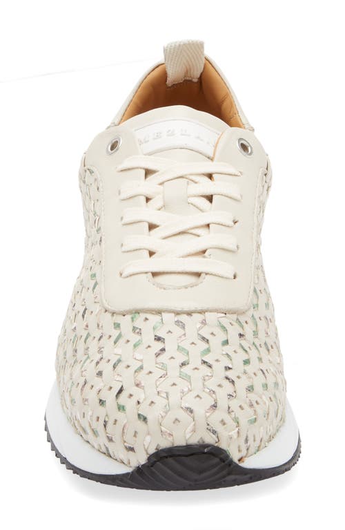 Mezlan Plata Sneaker In Light Green Multi