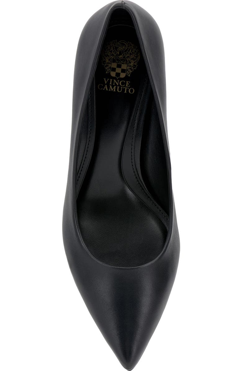Vince Camuto Kehlia Pointed Toe Pump, Alternate, color, Black Deluxe Nappa Le