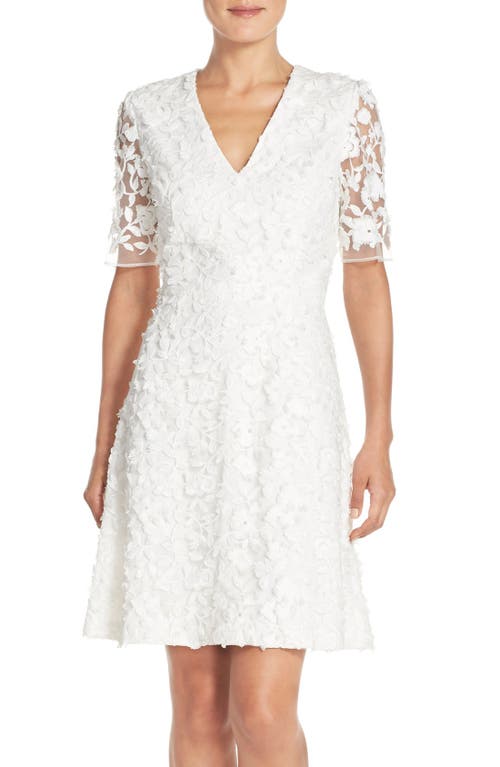 Adrianna Papell Lace Mesh Fit & Flare Dress