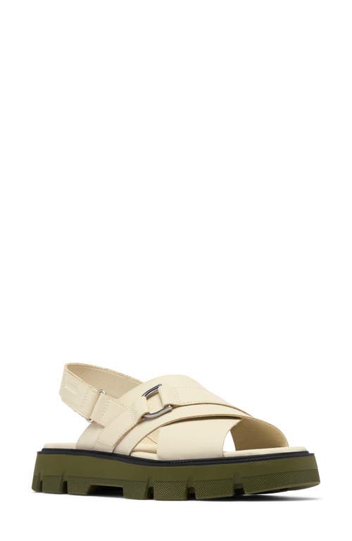 Sorel Rein Cb Crisscross Sandal In Chalk/utility Green
