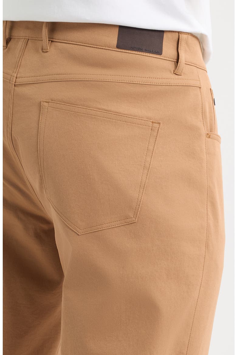 EB66 Performance Five Pocket Pants, Alternate, color, DARK AMBER