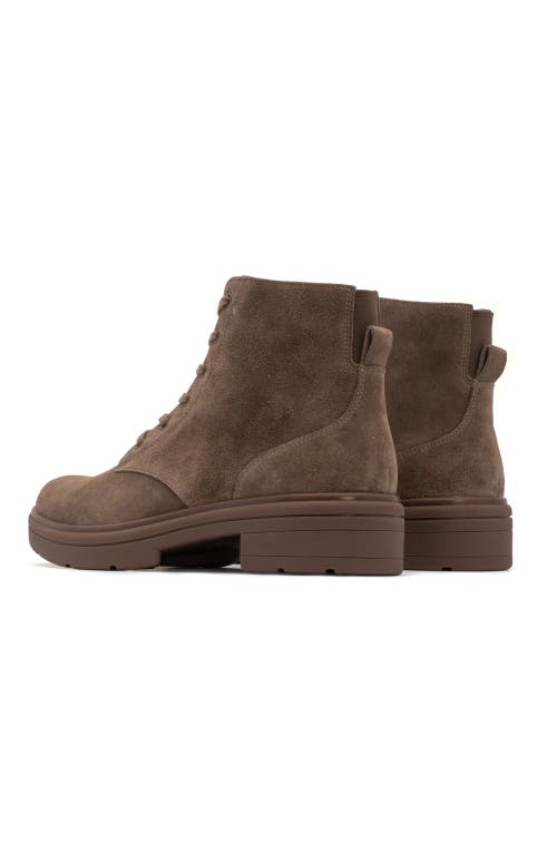Abeo Vista Lace Boot In Taupe Suede - Regular