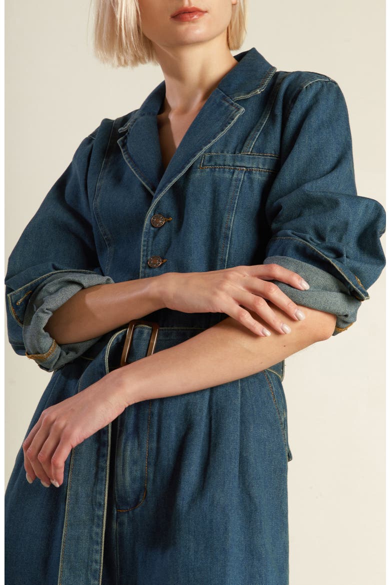 Long Sleeve Denim Jumpsuit, Alternate, color, INDIGO DENIM