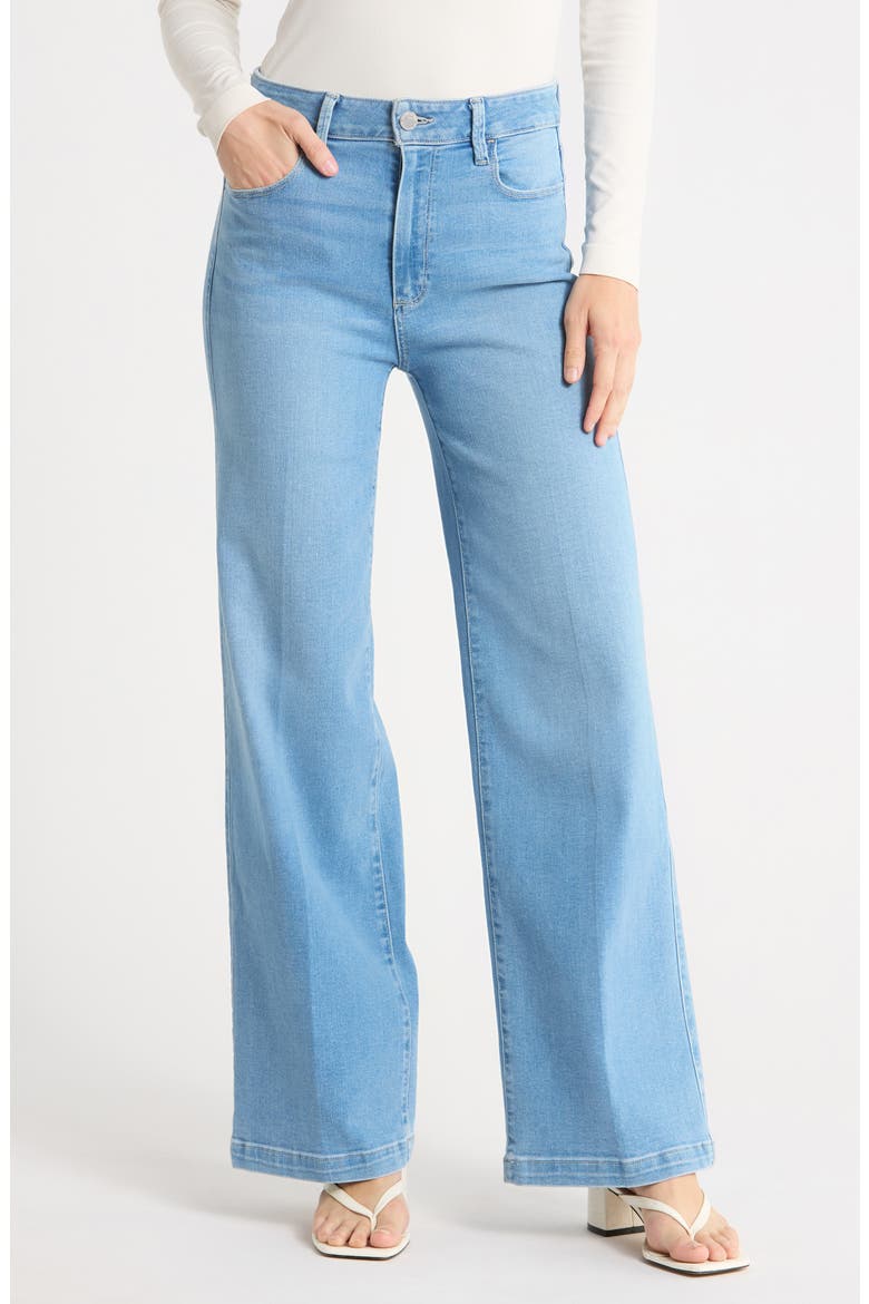 Genesee High Waist Wide Leg Jeans, Main, color, JADA