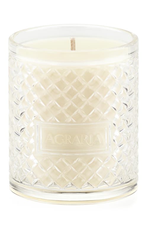 Agraria San Francisco Holiday Perfume Candle In Brown