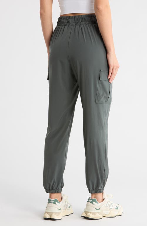 Apana Villa Cargo Joggers In Gray
