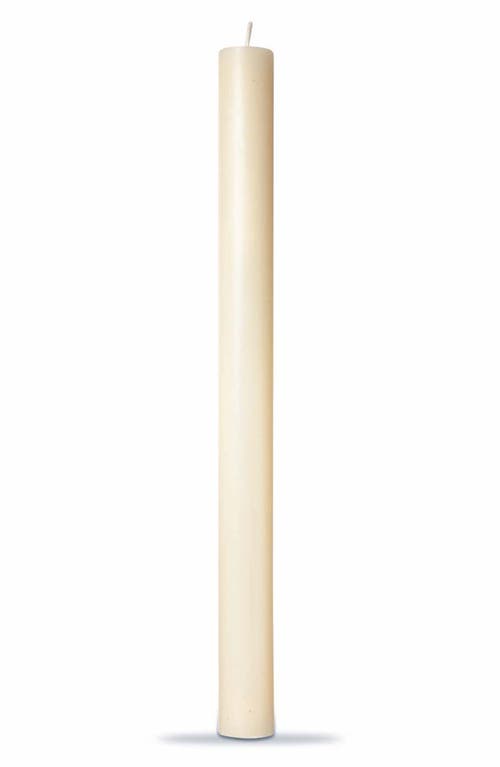 tag Color Studio Box of 12 10-Inch Straight Candles in Ivory 