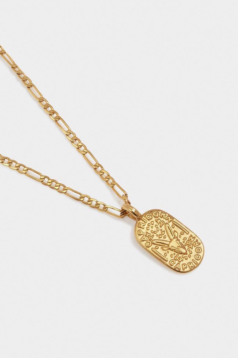 'Capricorn' Waterproof Gold Zodiac Necklace, Alternate, color, GOLD