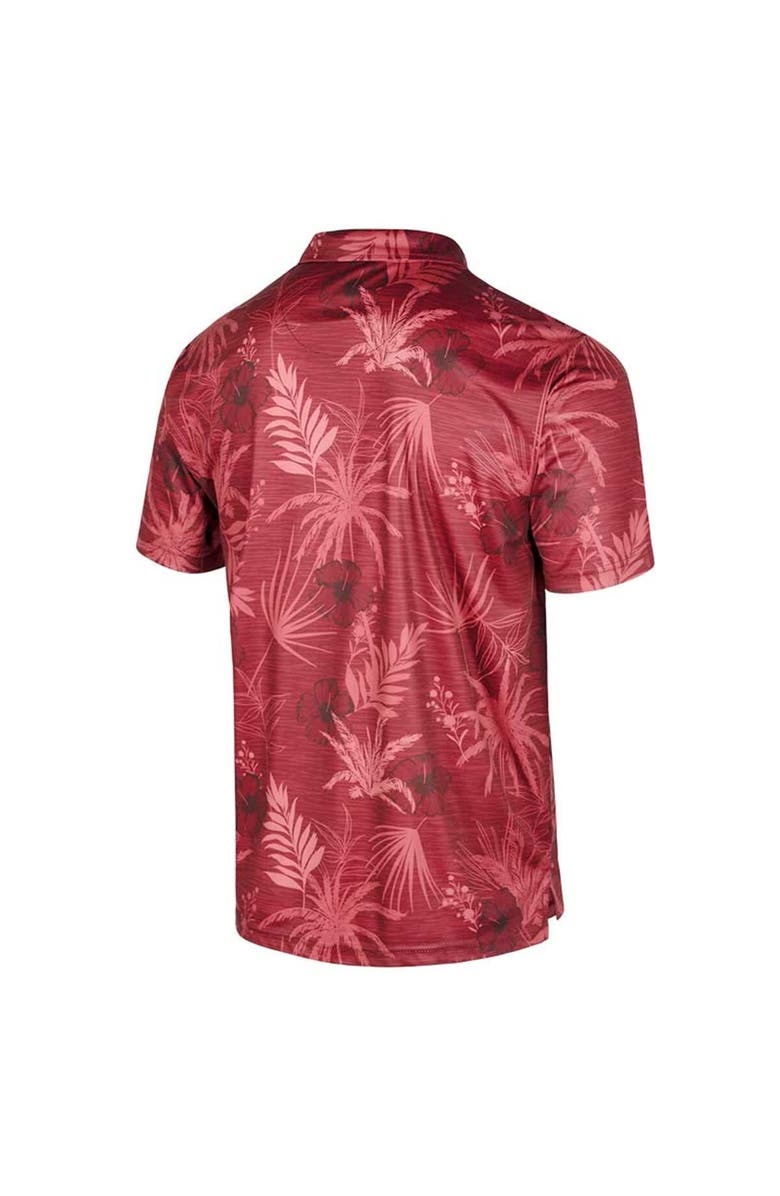 COLOSSEUM Men's Colosseum Cardinal Arkansas Razorbacks Big & Tall Palms Polo, Alternate, color, Cardinal