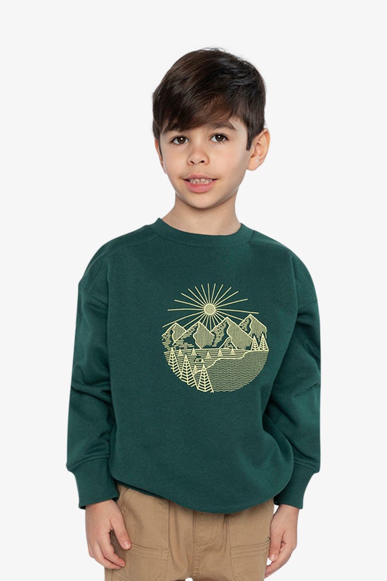 Fleece Crew Neck Line Graphic Sweatshirt, Alternate, color, Green Forest