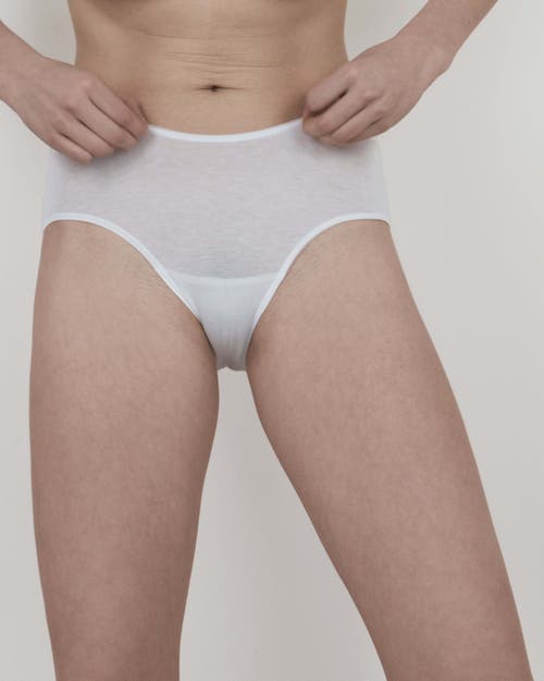 Oddobody Organic Cotton Brief In Chalk