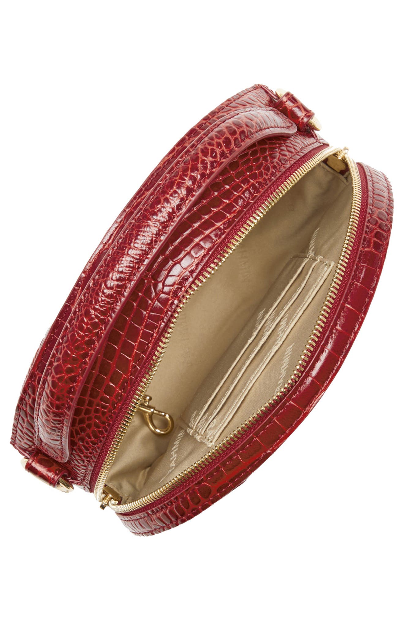 Brahmin Lane Croc Embossed Leather Crossbody Bag, Alternate, color, 